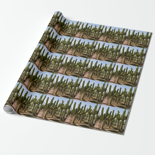 Cacti garden, tropical desert landscape. wrapping paper (Unrolled)