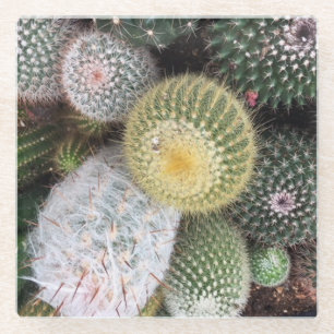 Cacti Glass Coasters