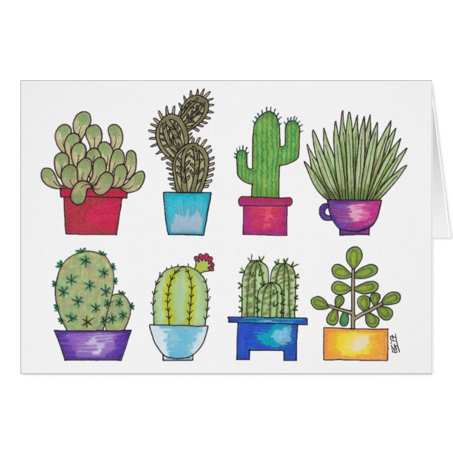 Cacti in Pots (Front Horizontal)