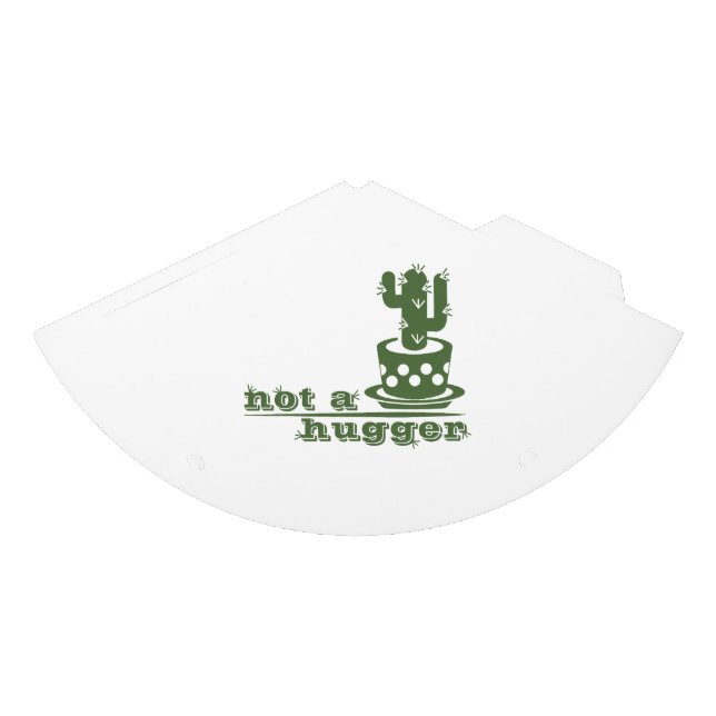 Cacti Not a hugger cactus funny saying Party Hat (Front)