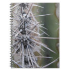 Cacti Notebook