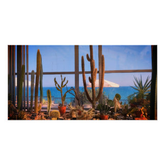Cacti plants and sea poster