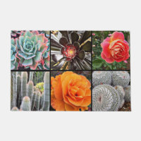Cacti rose flowers photo collage colourful modern