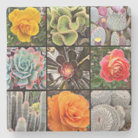Cacti Rose Flowers Photography Collage Modern Bold