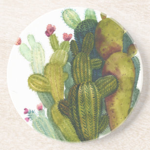 Cacti, succulents: vintage watercolor. coaster