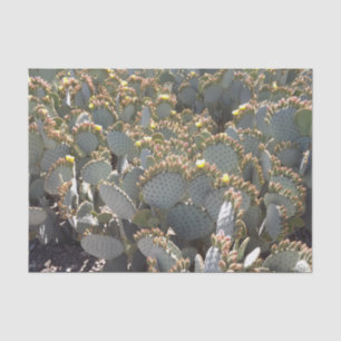 Cacti Tissue Paper