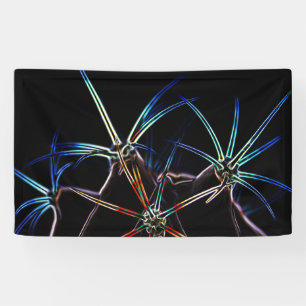 Cactus 1 bnrcn banner