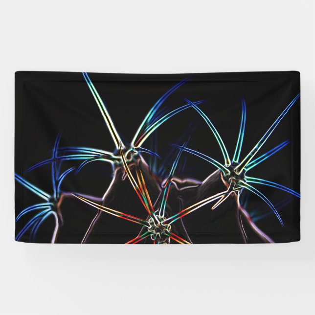 Cactus 1 bnrcnm banner (Horizontal)