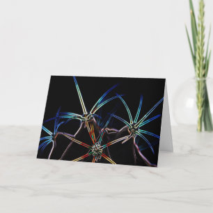 Cactus 1 gccnm card
