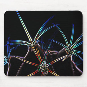 Cactus 1 mpcnm mouse pad