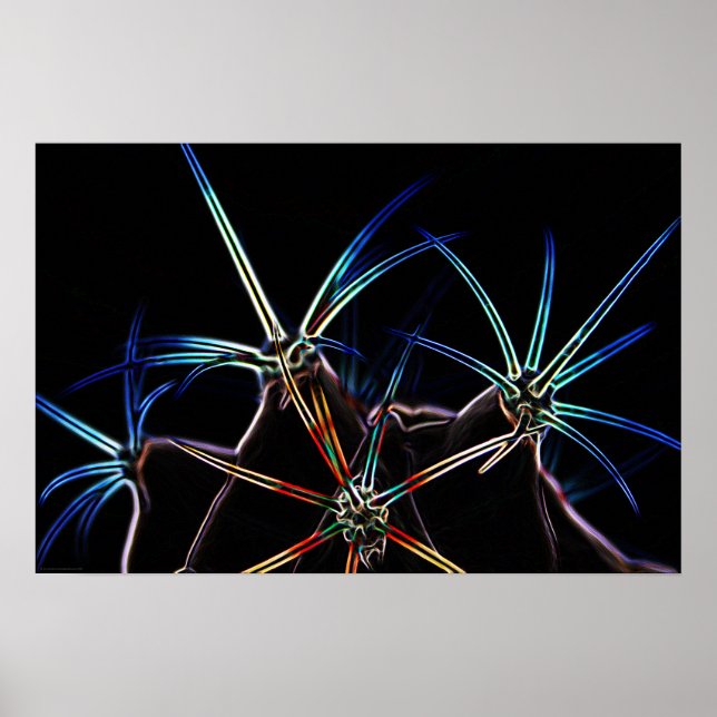 Cactus 1 wapcna poster (Front)