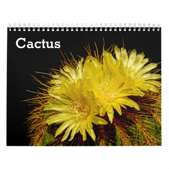Cactus 2027 calendar (Cover)