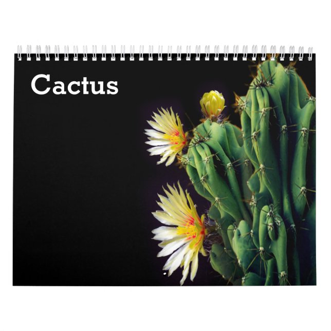 Cactus 2027 calendar (Cover)