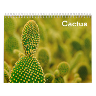 Cactus 2027 calendar