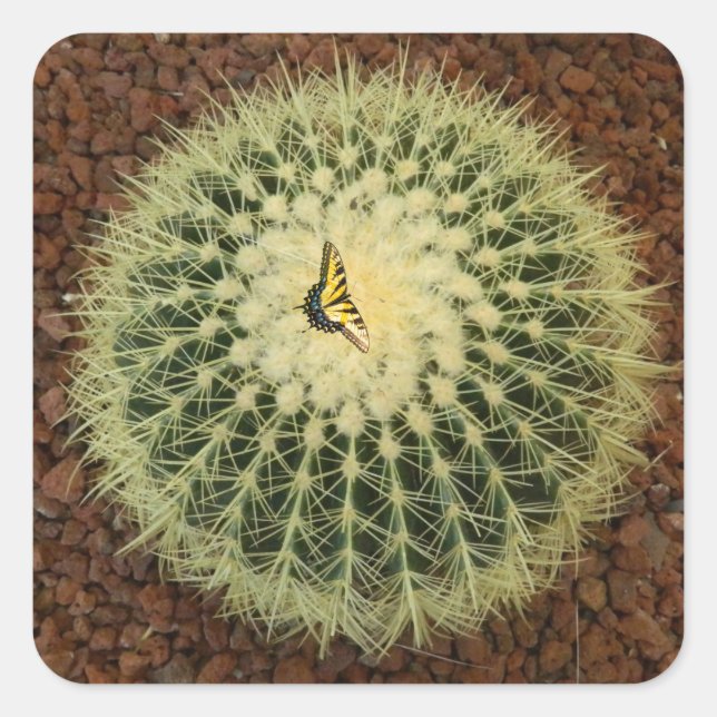 Cactus and Butterfly Square Sticker (Front)
