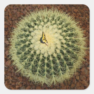 Cactus and Butterfly Square Sticker