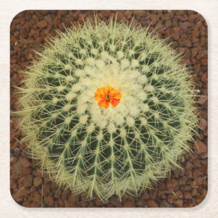 Cactus and Flower Square Paper Coaster