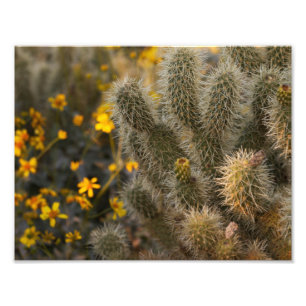 Cactus and Wildflowers Photo Print