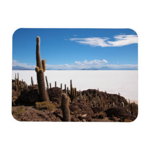 Cactus at the Salar de Uyuni rectangular magnet