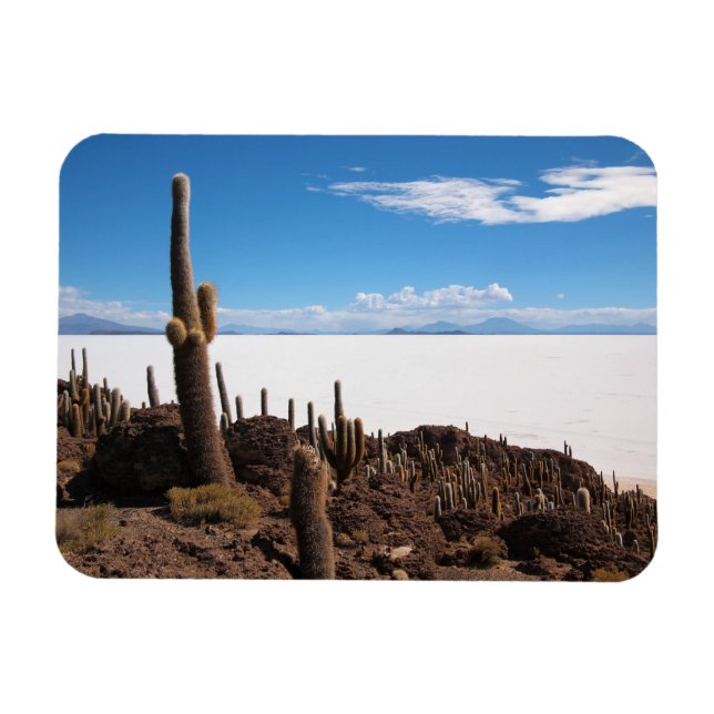 Cactus at the Salar de Uyuni rectangular magnet (Horizontal)