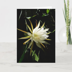 Cactus Bloom Card
