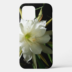 Cactus Bloom iPhone 12 Case