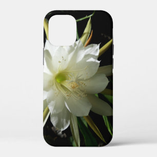 Cactus Bloom iPhone 12 Mini Case