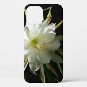Cactus Bloom iPhone 12 Pro Case