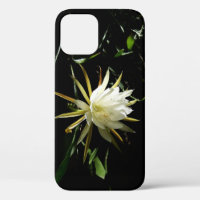 Cactus Bloom