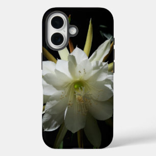 Cactus Bloom iPhone 16 Case