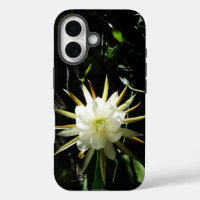 Cactus Bloom