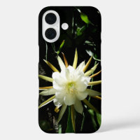 Cactus Bloom