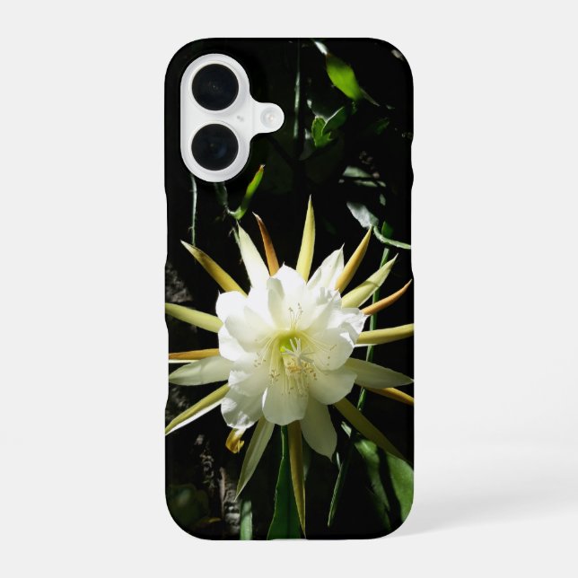 Cactus Bloom iPhone 16 Case (Back)