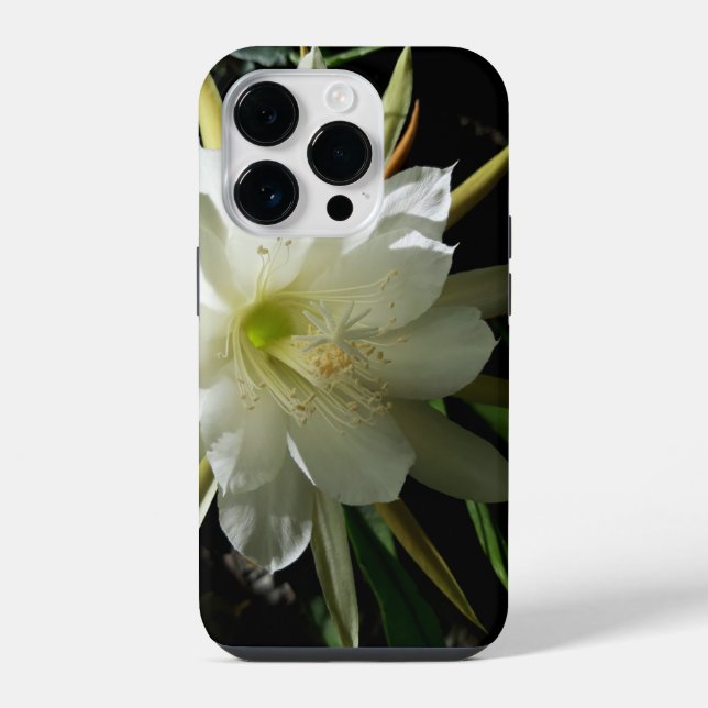 Cactus Bloom iPhone Case (Back)