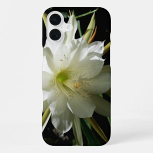 Cactus Bloom iPhone 16 Plus Case