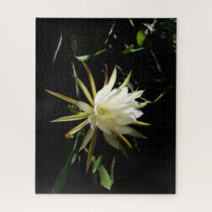 Cactus Bloom Jigsaw Puzzle