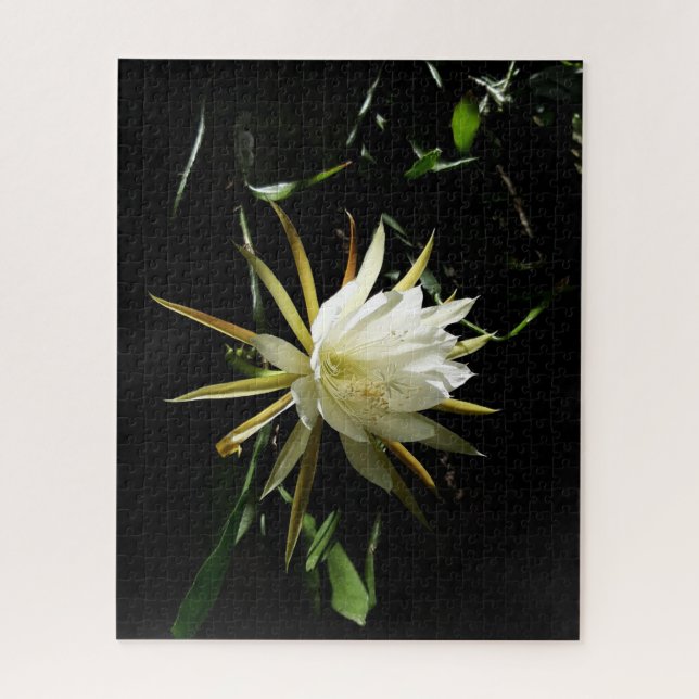 Cactus Bloom Jigsaw Puzzle (Vertical)