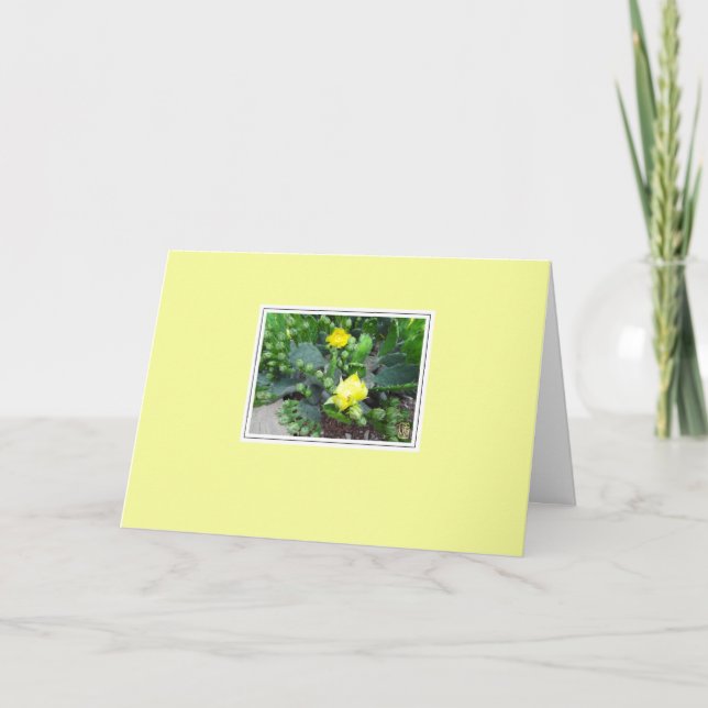 Cactus Blooms on Yellow Blank Greeting Card (Front)