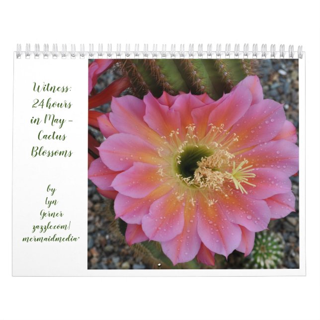Cactus Blossoms Calendar (Cover)