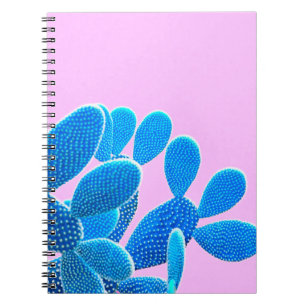 Cactus blue coloured on pink background. Fashion, Notebook