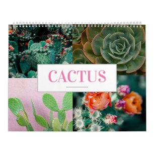 Cactus Calendar Nature Calendar Home Wall