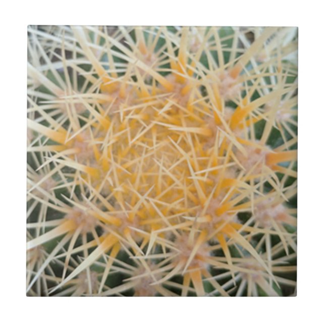 Cactus Ceramic Tile (Front)