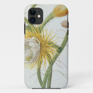 Cactus: Cereus, from Trew's 'Plantae Selectae' 175 iPhone 11 Case