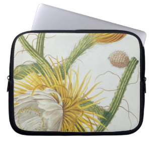 Cactus: Cereus, from Trew's 'Plantae Selectae' 175 Laptop Sleeve