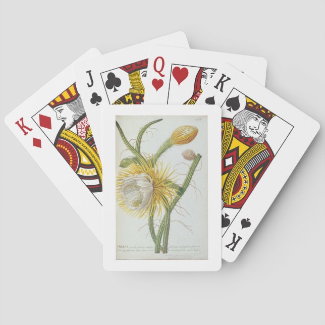 Cactus: Cereus, from Trew's 'Plantae Selectae' 175 Playing Cards (Back)