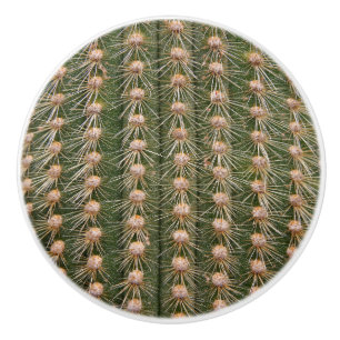 Cactus close up ceramic knob