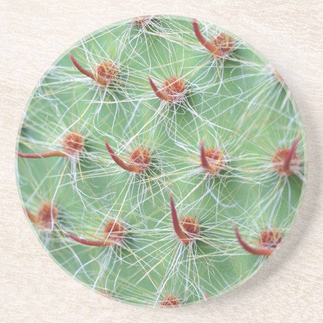 cactus coaster (Front)