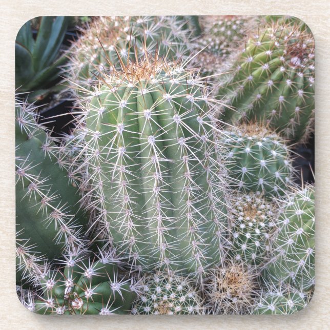 Cactus Coaster (Front)