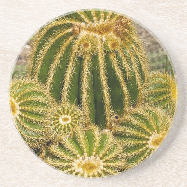 Cactus Coaster (Front)