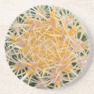 Cactus Coaster